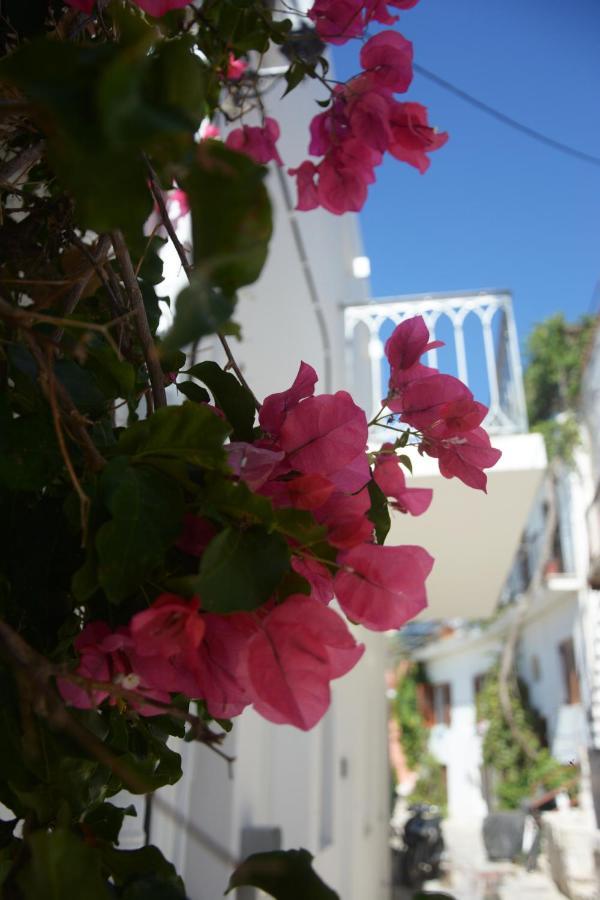Cozy Home 2 Tinos Luaran gambar